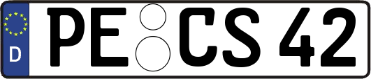 PE-CS42