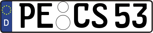 PE-CS53
