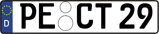 PE-CT29