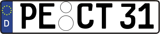 PE-CT31