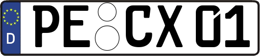 PE-CX01