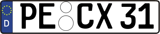PE-CX31