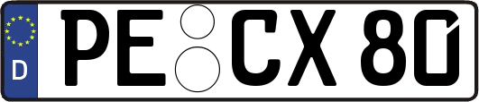 PE-CX80