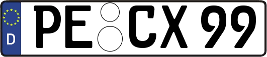 PE-CX99