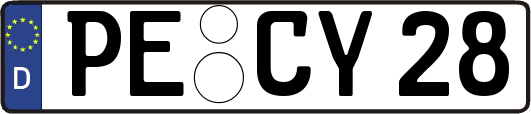 PE-CY28