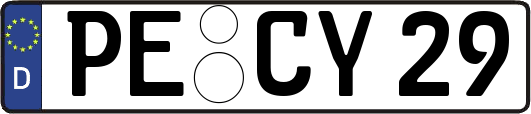PE-CY29