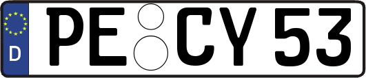 PE-CY53