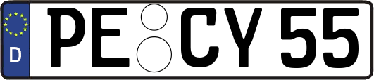 PE-CY55