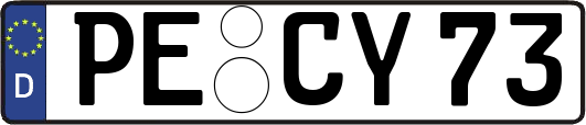 PE-CY73