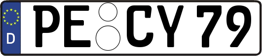 PE-CY79
