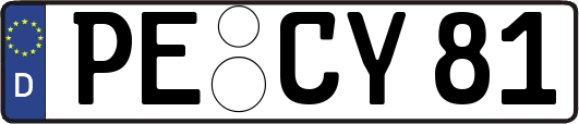 PE-CY81