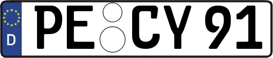 PE-CY91
