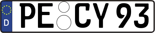 PE-CY93