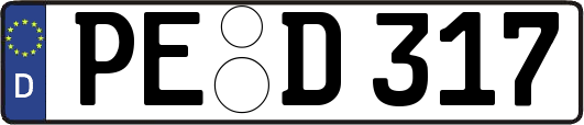 PE-D317