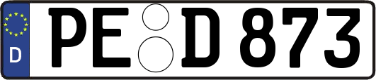PE-D873
