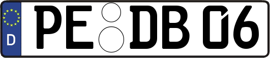 PE-DB06