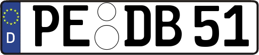 PE-DB51