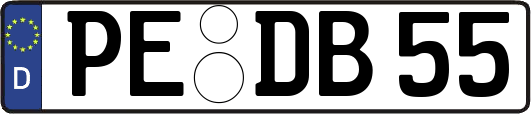 PE-DB55