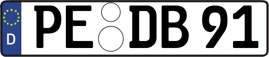 PE-DB91