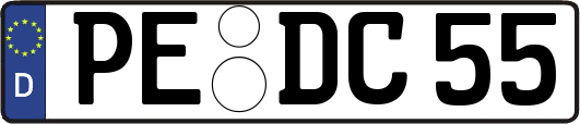 PE-DC55