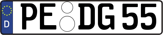 PE-DG55