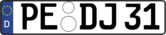 PE-DJ31