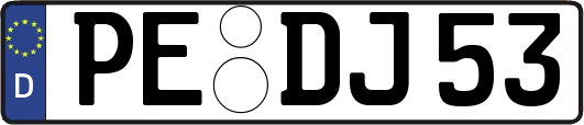 PE-DJ53