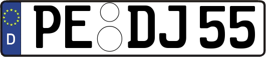 PE-DJ55