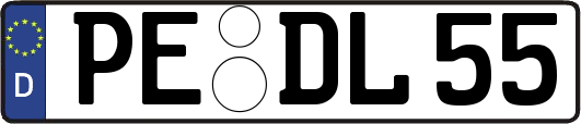 PE-DL55