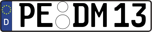 PE-DM13