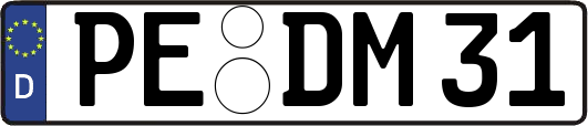 PE-DM31