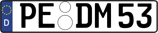 PE-DM53