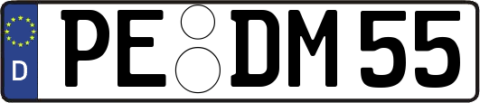 PE-DM55