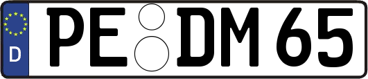 PE-DM65