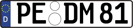 PE-DM81