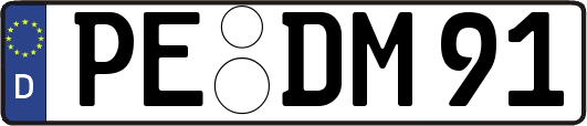 PE-DM91