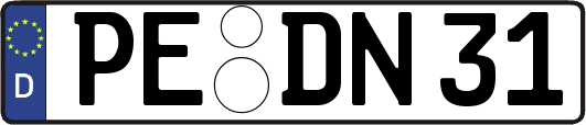 PE-DN31