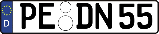 PE-DN55