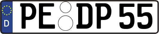 PE-DP55