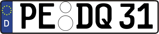 PE-DQ31