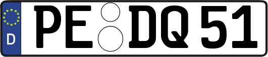 PE-DQ51
