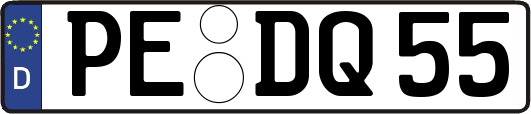 PE-DQ55