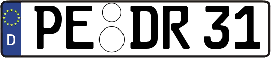PE-DR31