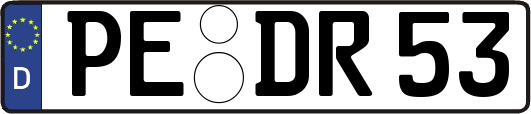 PE-DR53