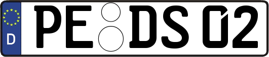 PE-DS02