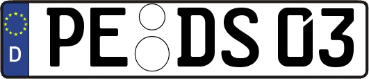 PE-DS03
