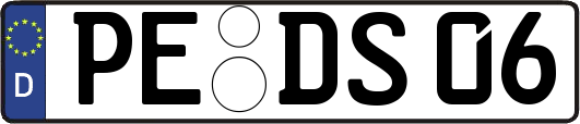 PE-DS06