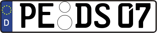 PE-DS07