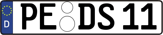 PE-DS11