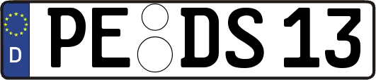 PE-DS13